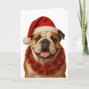 Cartão de Natal de Bulldog com chapéu de Papai Noe