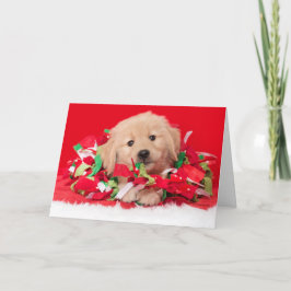 Cartão de Natal de Cachorrinho Retriever Dourado