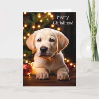 Cartão de Natal de Cachorro Branca Labrador