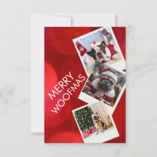 Cartão de Natal de Cachorro com Múltiplas Fotos Fe