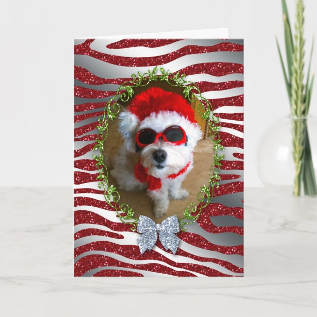 Cartão de Natal de Cachorro Engraçado Zebra Glitte (Frente)