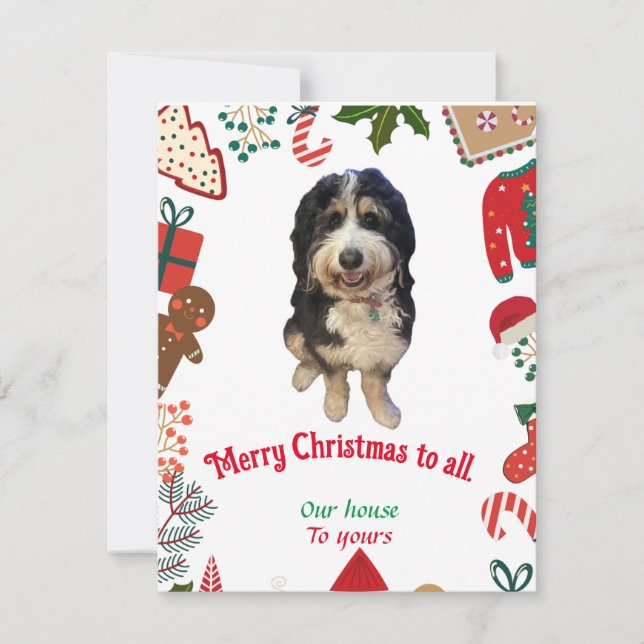 Cartão de Natal de cão Bernedoodle Whimsical (Frente)