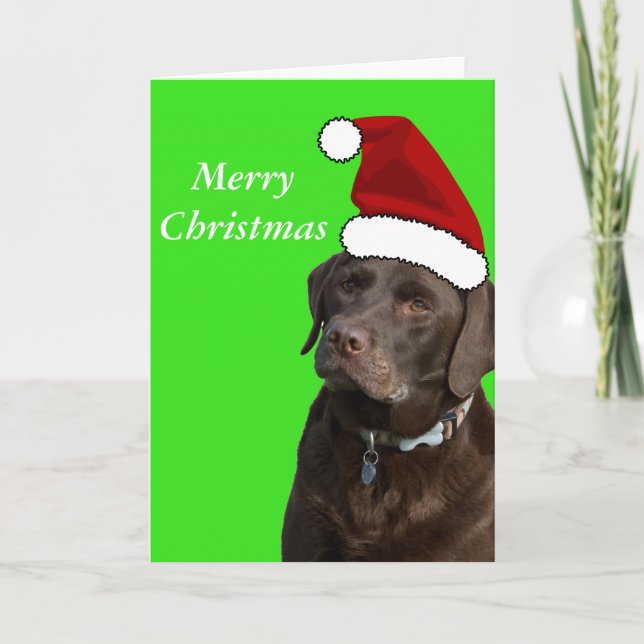 Cartão de Natal de Chocolate Labrador (Frente)