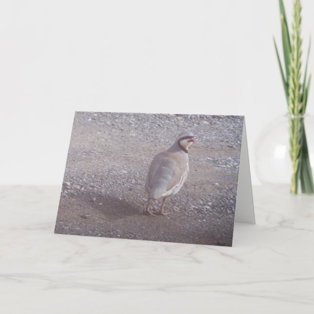 Cartão de Natal de Chukar (Frente)