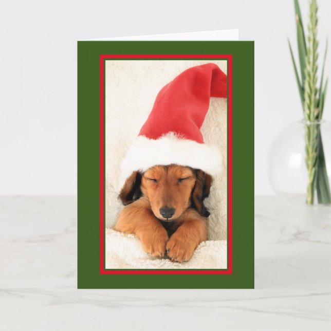 CARTÃO DE NATAL DE DACHSHUND BOMBA DE DORMIR (Frente)
