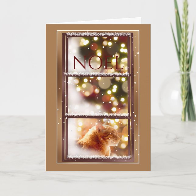 Cartão de Natal de Dentro de Gato Pacífico com Nev (Frente)