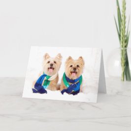 Cartão de Natal de dois terrier de monte de pedras