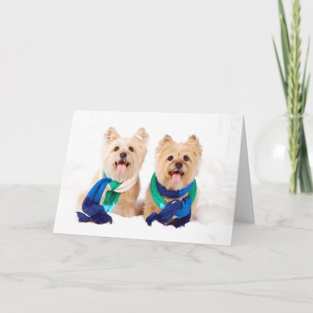 Cartão de Natal de dois terrier de monte de pedras (Frente)