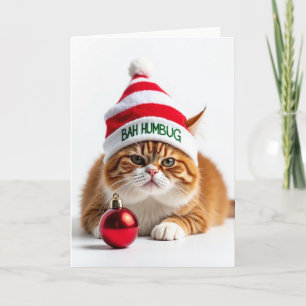 Cartão de Natal de Felino Irritado