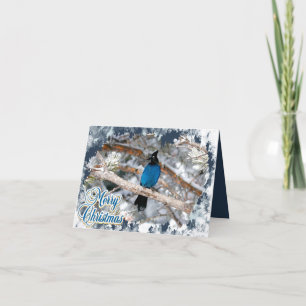 Cartão de Natal de Feliz Natal de Steller