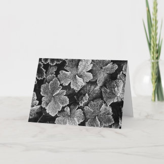 Cartão de Natal de Folhas Congeladas