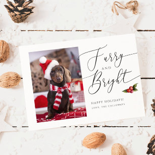 Cartão de Natal de Furry e Bright Pet