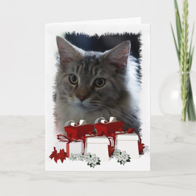 Cartão de Natal De Gato Com Gato De Maine Coon Kit (Frente)