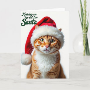 Cartão de Natal de Gato Curioso