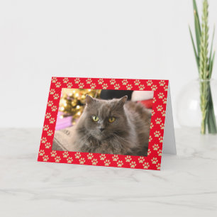 Cartão de Natal De Gato Pet Personalizado