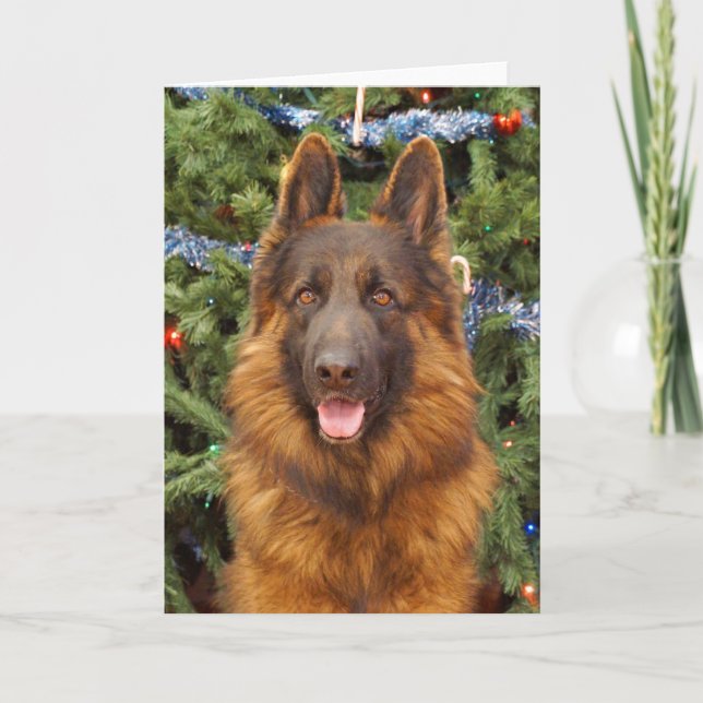 Cartão de Natal de german shepherd (Frente)