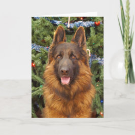 Cartão de Natal de german shepherd