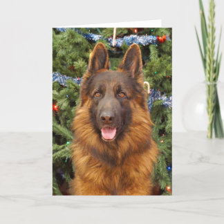 Cartão de Natal de german shepherd