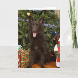 Cartão de Natal de German shepherd Preto