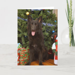 Cartão de Natal de German shepherd Preto