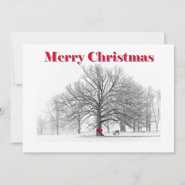 Cartão de Natal de Grande Cena de Inverno Vermelho (Frente)