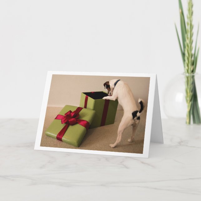 Cartão de Natal de Jack Russell Terrier (Frente)