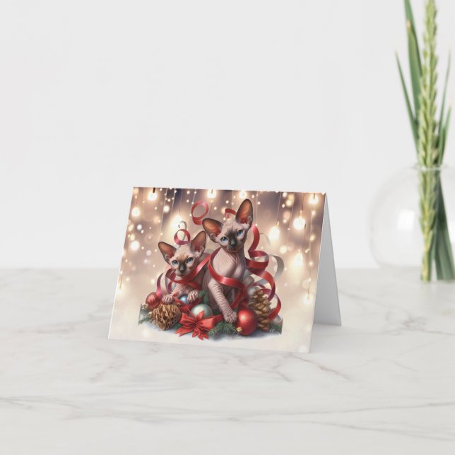 Cartão de Natal De Kittens Esphynx (Frente)