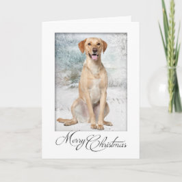 Cartão de Natal de laboratório amarelo