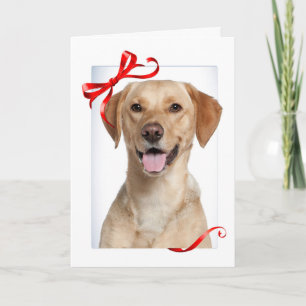 Cartão de Natal de laboratório amarelo