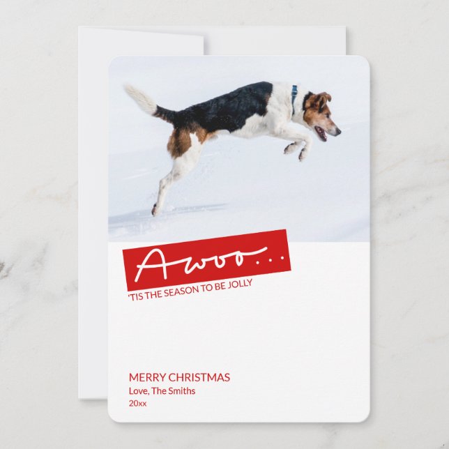 Cartão de Natal de Modelo de Foto Engraçado Cão 2 (Frente)