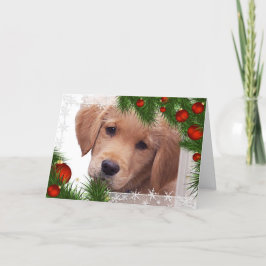 Cartão de Natal De Ouro Para Retriever - Cachorro