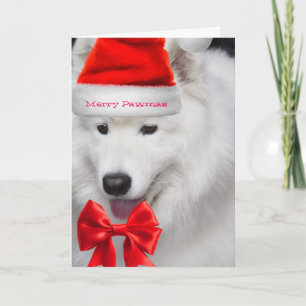 Cartão de Natal de Papais noeis bonitos Samoyed fe