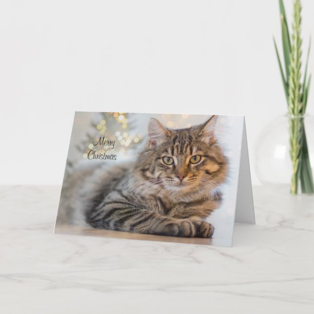 Cartão de Natal de Pet Personalizado para Cat (Frente)