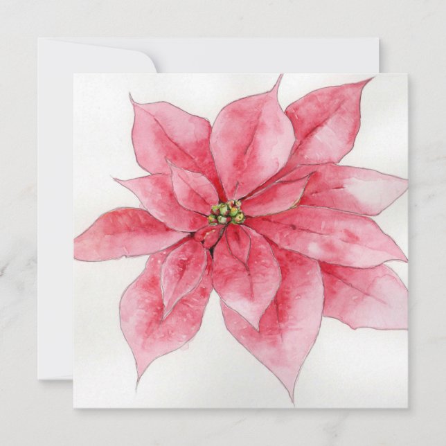 Cartão de Natal de Poinsettia Rosa (Frente)