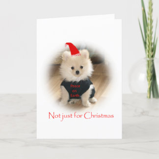 Cartão de Natal de Pomeranian