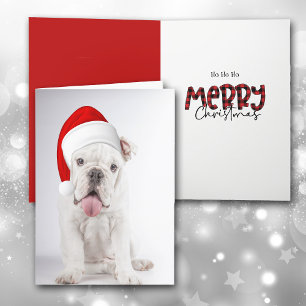 Cartão de Natal de Santa Hat White Bulldog