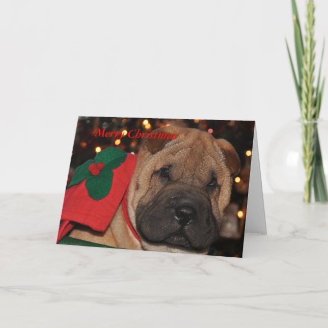 Cartão de Natal de Sharpei (Frente)