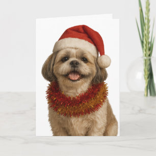 Cartão de Natal de Shih Tzu com chapéu de Papai No