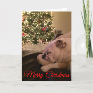 Cartão de Natal de Sonho para Bulldog Inglês