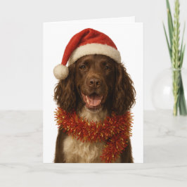 Cartão de Natal de Sprocker Spaniel marrom e branc