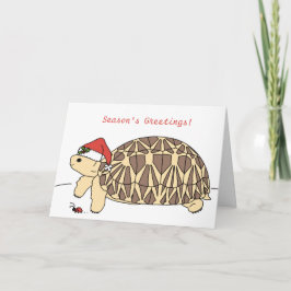 Cartão de Natal de Star Tortoise Personalizável