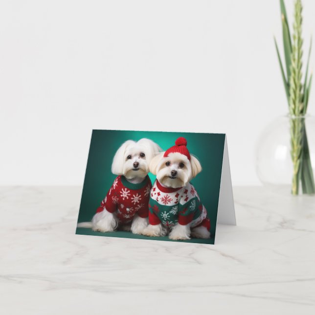 Cartão de Natal de Terriers Maltês (Frente)