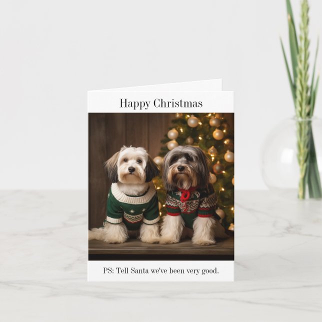 Cartão de Natal de Terriers Tibetanos (Frente)
