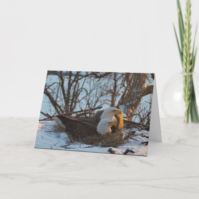 Cartão de Natal Decorah Nest North (Frente)