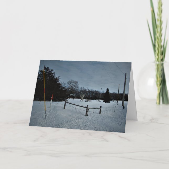 Cartão de Natal "Devastação no Parque" (Frente)