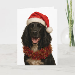 Cartão de Natal do Black Sprocker / Springer Spani