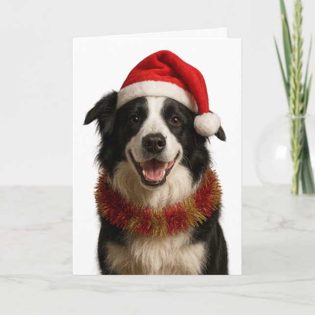 Cartão de Natal do Border Collie preto e branco (Frente)