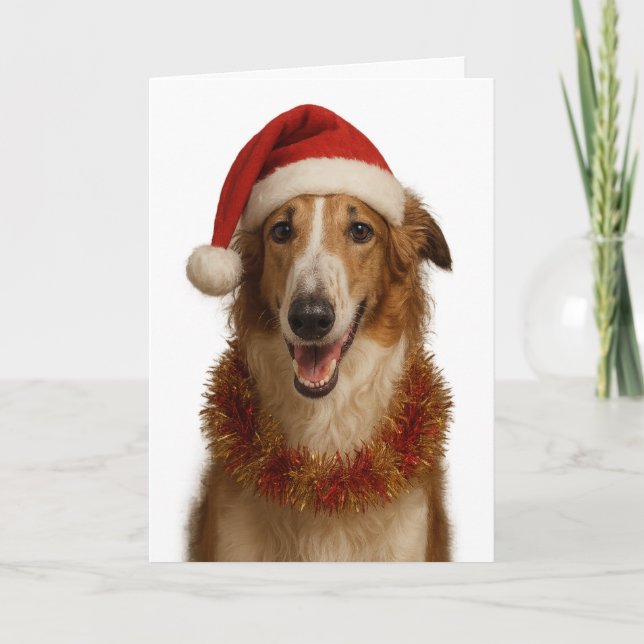 Cartão de Natal do Borzoi (marrom e branco) chapéu (Frente)