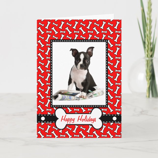 Cartão de Natal do Cachorro - Doido ou Bonito (Frente)