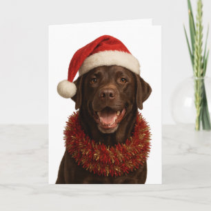 Cartão de Natal do cão Labrador Retriever de choco